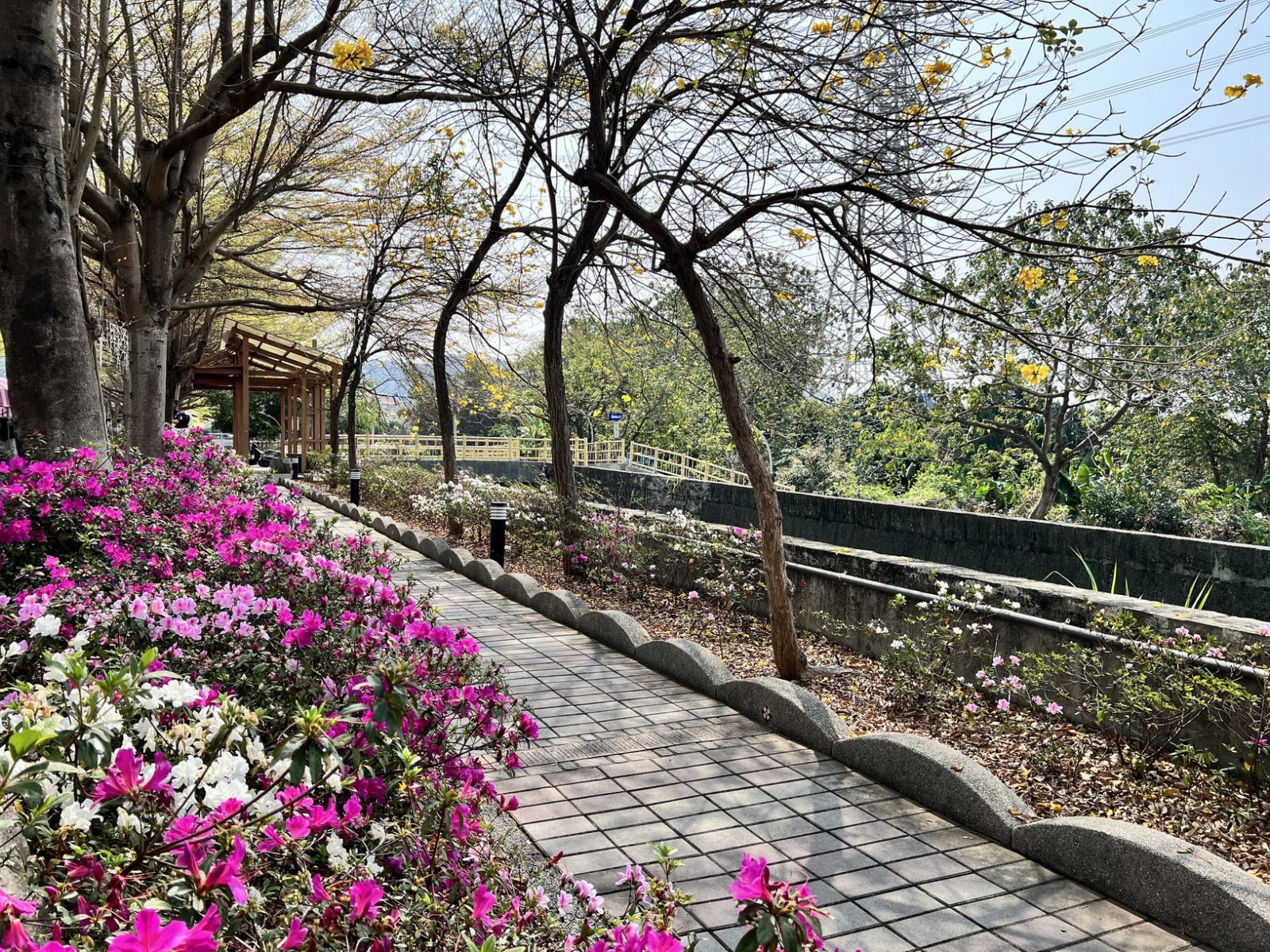 社頭鄉杜鵑花季開幕　交通部觀光署贈送台灣燈會花燈展覽 - https://www.watchmedia01.com