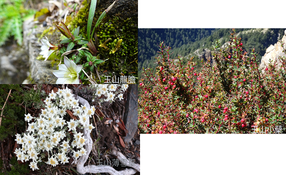 玉管處與生多所攜手 強化臺灣生物多樣性資料庫 - https://www.watchmedia01.com