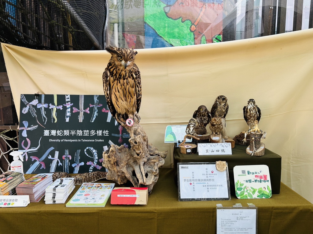 鷹揚八卦芬園鄉文德國小得天獨厚 落實生態保育場域絕佳! - https://www.watchmedia01.com