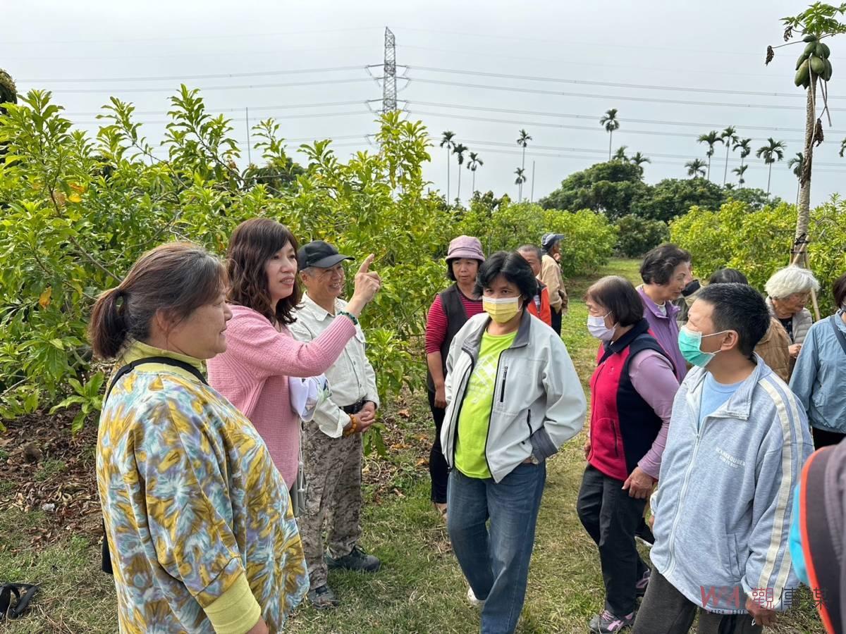 新興作物黃金果　讓更多人看見番路鄉優質蔬果 - https://www.watchmedia01.com