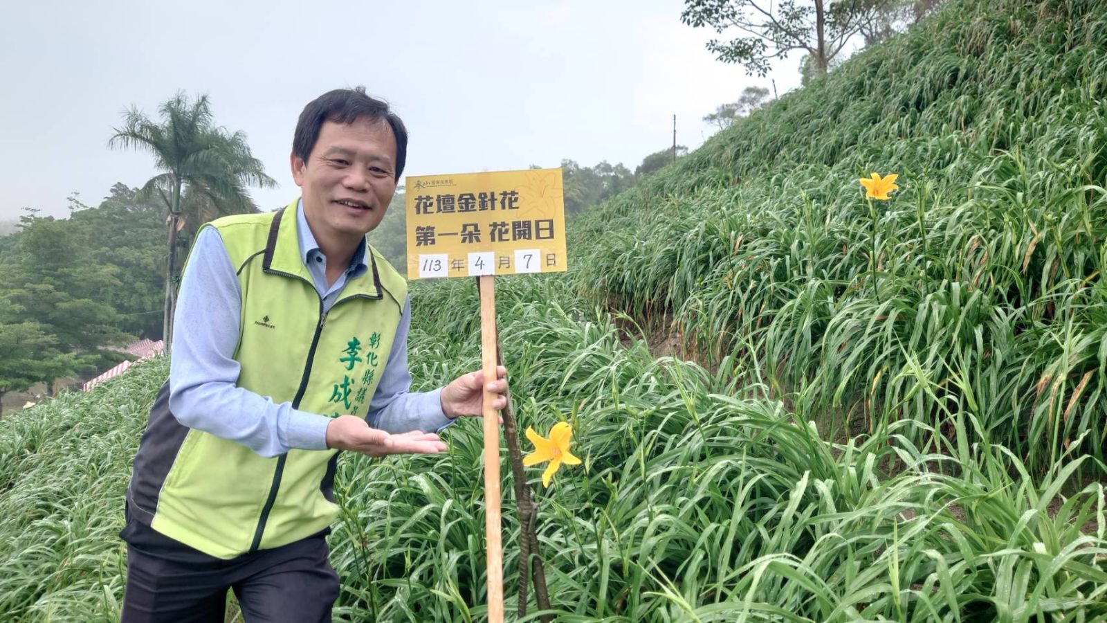 （有影片）／台東7號金針花罕見現象：花壇鄉虎山巖開出姐妹花 - https://www.watchmedia01.com