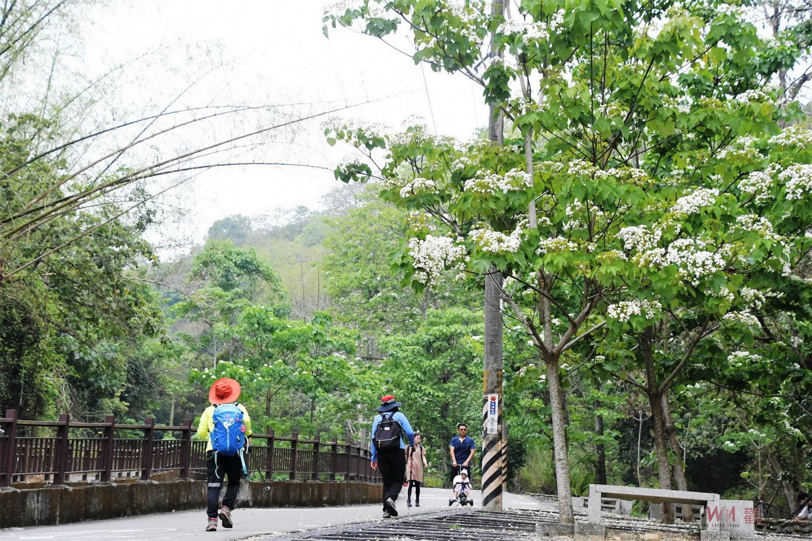 （有影片）／2024桐花祭美好彰化幸福桐遊　五處景點四大亮點　歡迎來賞桐 - https://www.watchmedia01.com