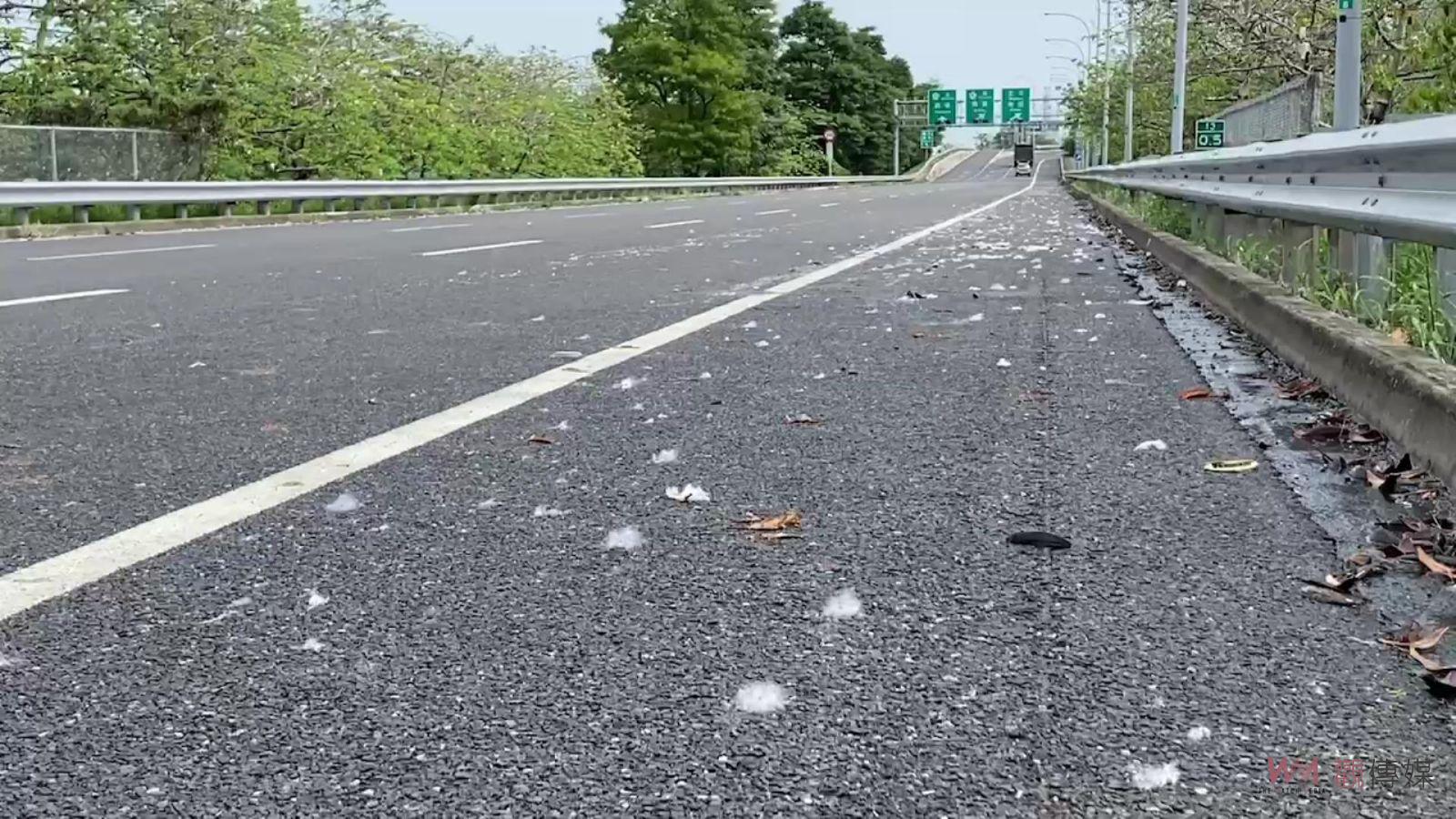 （有影片）／五月雪？國道一號木棉花絮紛飛　駕駛人應避免看美景分心 - https://www.watchmedia01.com