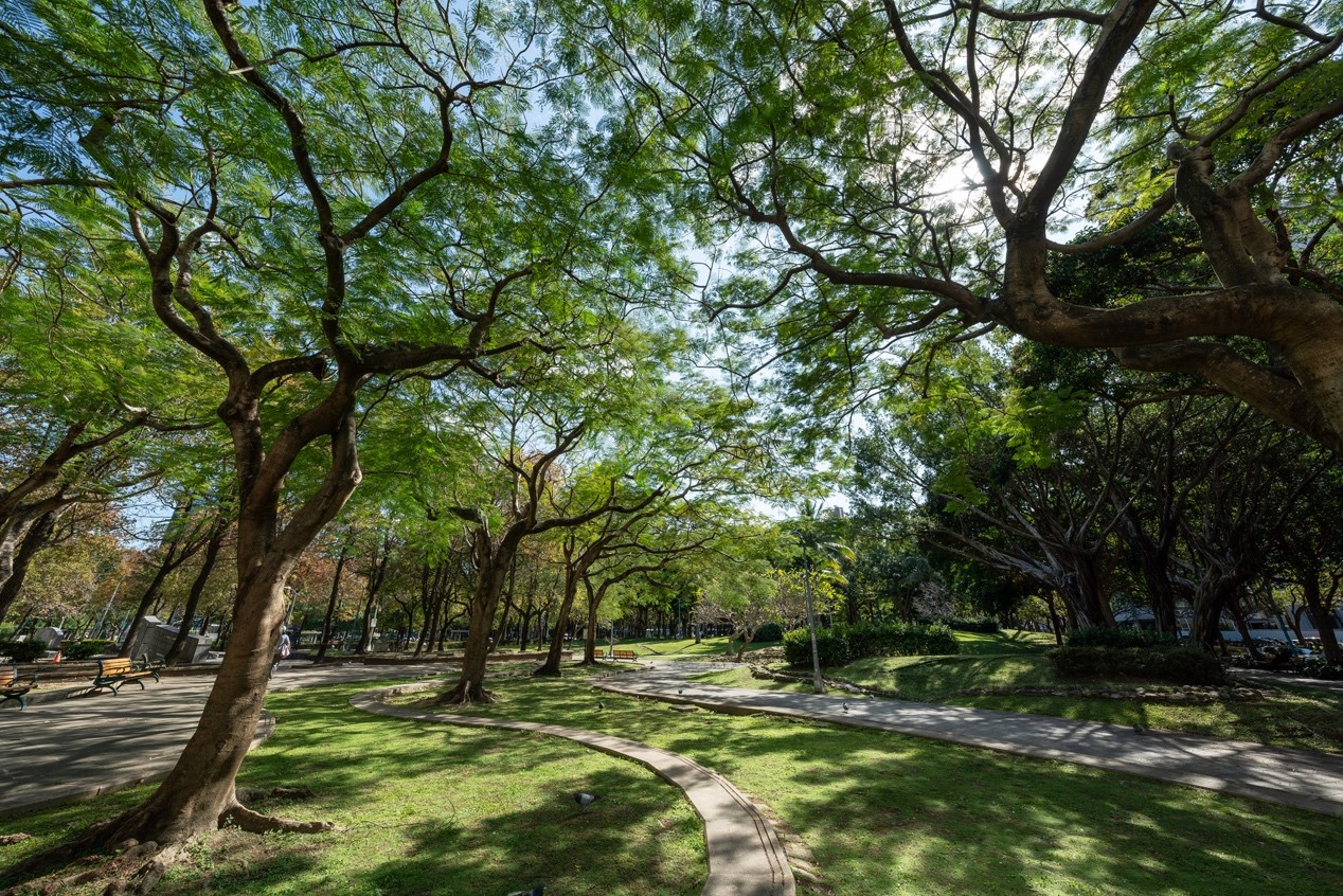 （有影片）／北市中山核心商圈 「璞園 森仰」擁萬坪綠意公園 - https://www.watchmedia01.com