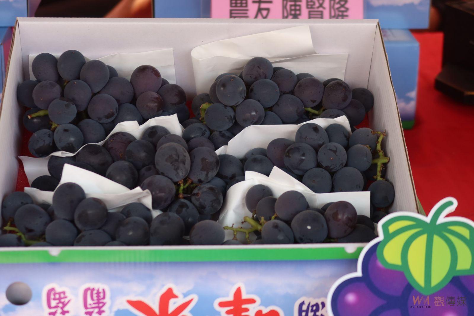 （有影片）／紫色鑽石的奇蹟「紫」要您幸福　溪湖早春葡萄獨領風騷 - https://www.watchmedia01.com