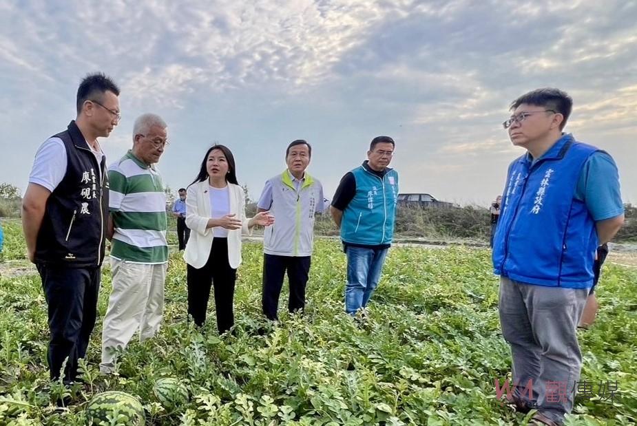 雲林西瓜因氣候多變裂果災情　張嘉郡促農糧署啟動救助程序 - https://www.watchmedia01.com