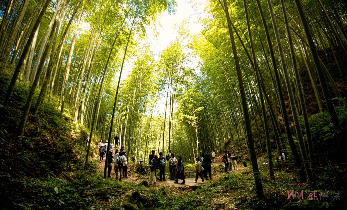 （有影片）／雲林成全球首例認證竹地標城市　WBO認證讓世界再次看到台灣之美 - https://www.watchmedia01.com