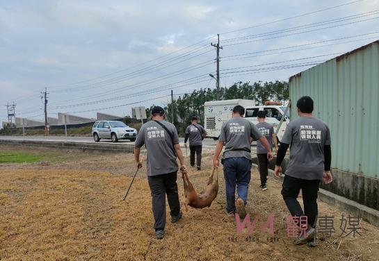 嘉義縣海區三鄉鎮成立專人專線 精準捕抓舒緩遊蕩犬問題 - https://www.watchmedia01.com