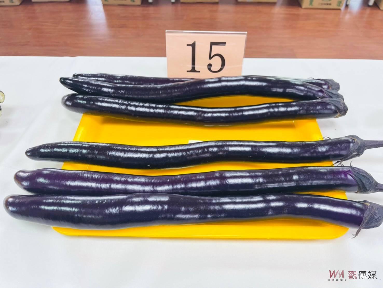 （有影片）／113年度彰化縣茄子果品評鑑競賽　66組茄農參賽 - https://www.watchmedia01.com