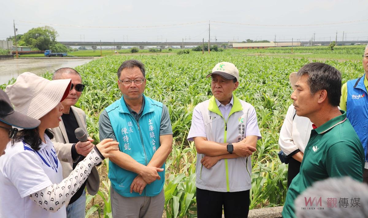 （有影片）／因強降雨玉米倒伏災情嚴重　雲林啟動天然災害救助程序 - https://www.watchmedia01.com