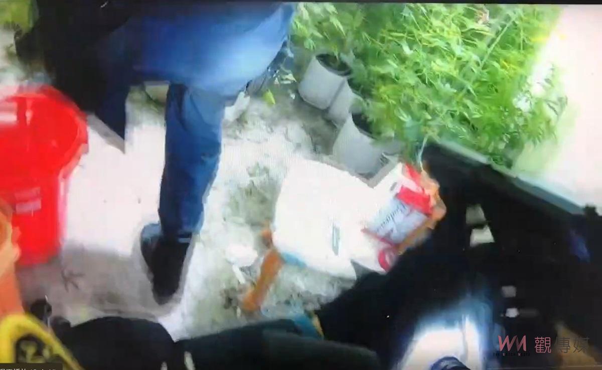 （有影片）／雲林檢警聯手破獲大麻工廠　市價1億3千多萬三嫌遭起訴 - https://www.watchmedia01.com