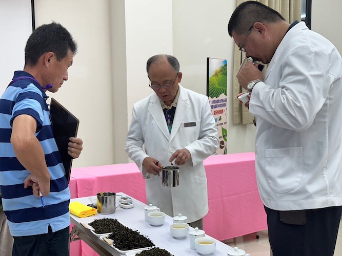 番路農會辦茶農競技　陳家興甘醇水順茶香奪冠軍 - https://www.watchmedia01.com