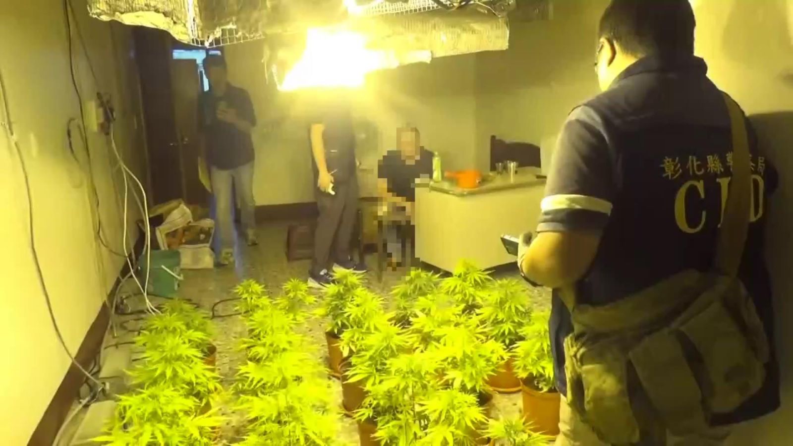 （有影片）／怪味道！和美鎮透天厝藏匿大麻栽培行動曝光 - https://www.watchmedia01.com
