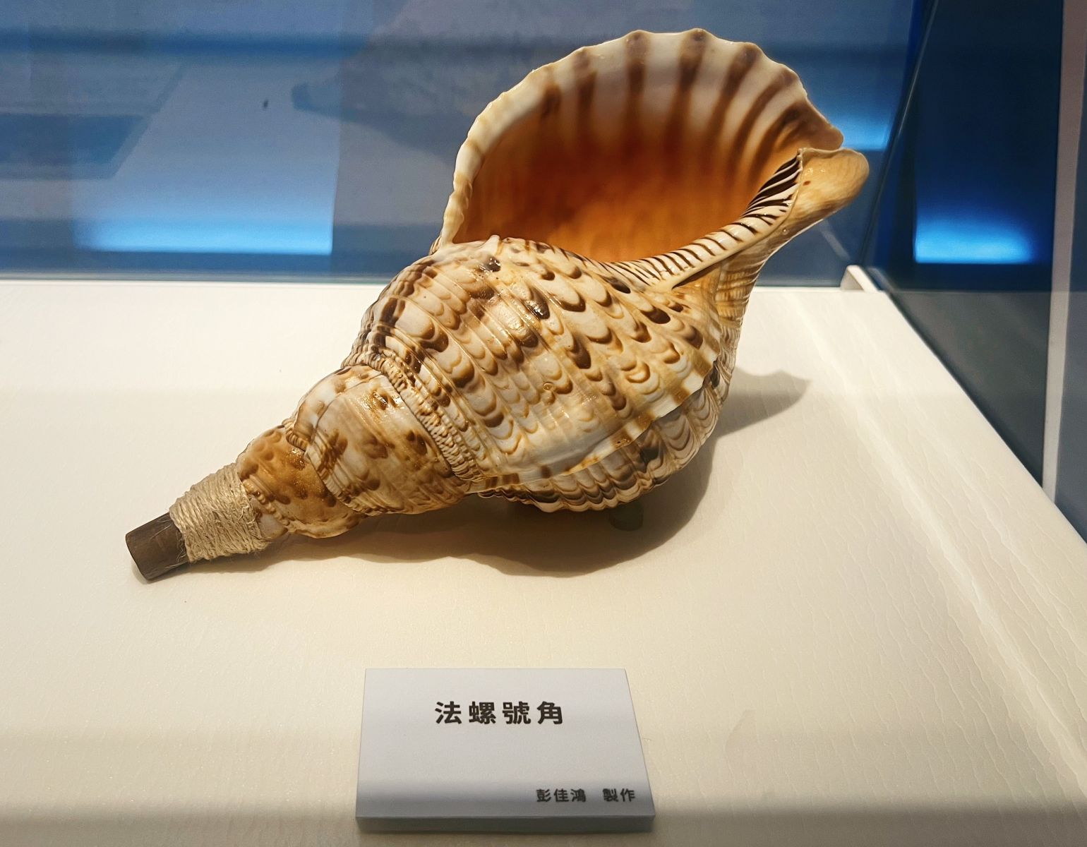 研究人員神手打造葫蘆、海螺樂器　「南島之音特展」十三行博物館驚艷登場 - https://www.watchmedia01.com