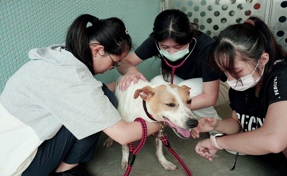 中興大學USR「寵物義診」通識課　收容所義診關懷犬貓 - https://www.watchmedia01.com