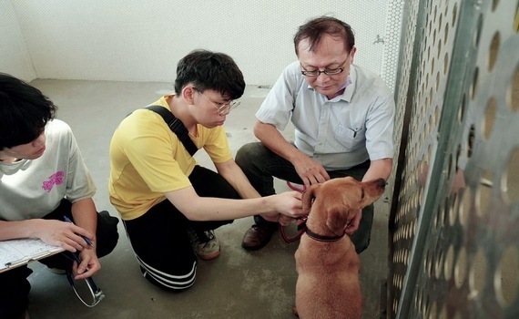 中興大學USR「寵物義診」通識課　收容所義診關懷犬貓 - https://www.watchmedia01.com