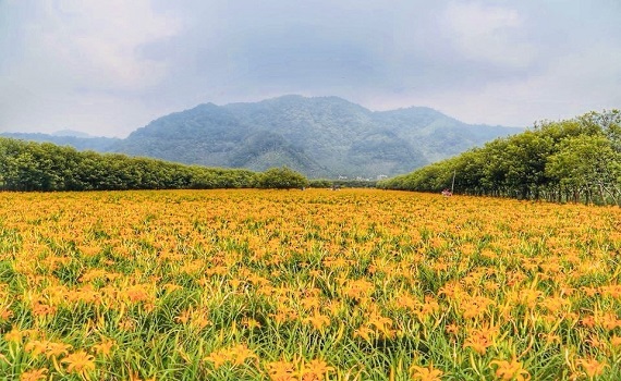 夏遇．山裡的海　雲品暑期活動大揭秘　打造全齡一站式度假天堂 - https://www.watchmedia01.com