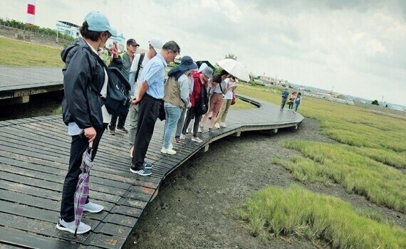 走訪台中白海豚棲息地　愛護海洋來趟海線觀光之旅 - https://www.watchmedia01.com
