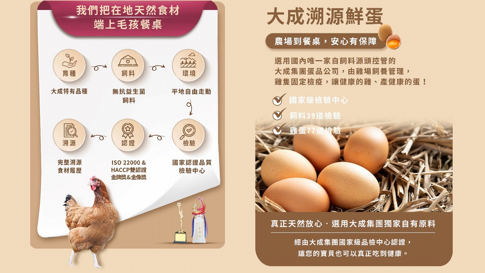 GOMO PET FOOD最懂寵物需求 讓毛孩能享受安心呵護 - https://www.watchmedia01.com