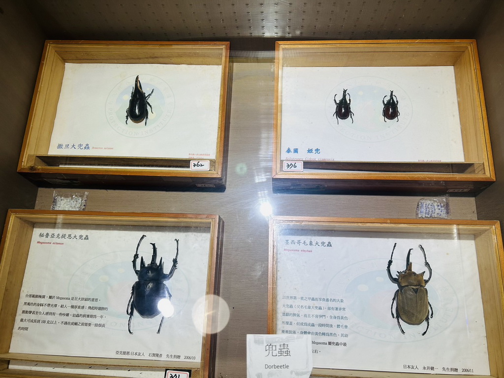 清水岩生態展示中心疫情後重啟 蕭浚二鄉長推全鄉生態教育 - https://www.watchmedia01.com