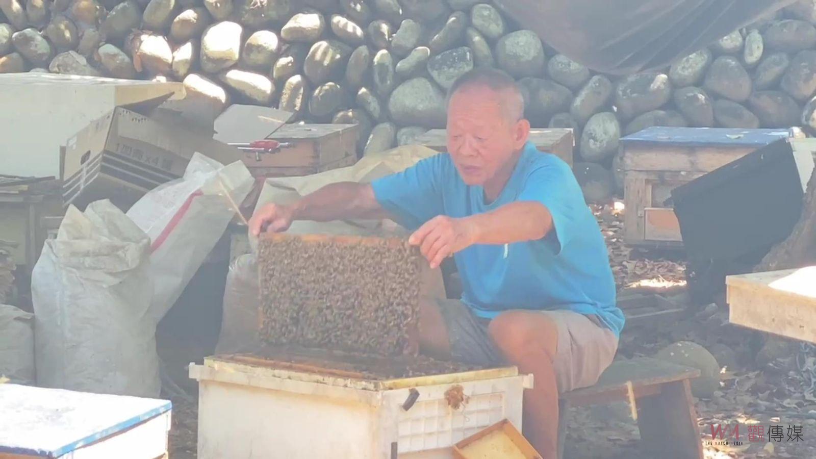 （有影片）／極端天氣打擊蜂蜜產業　蜂蜜產量創歷史新低　蜂蜜價格飆升 - https://www.watchmedia01.com