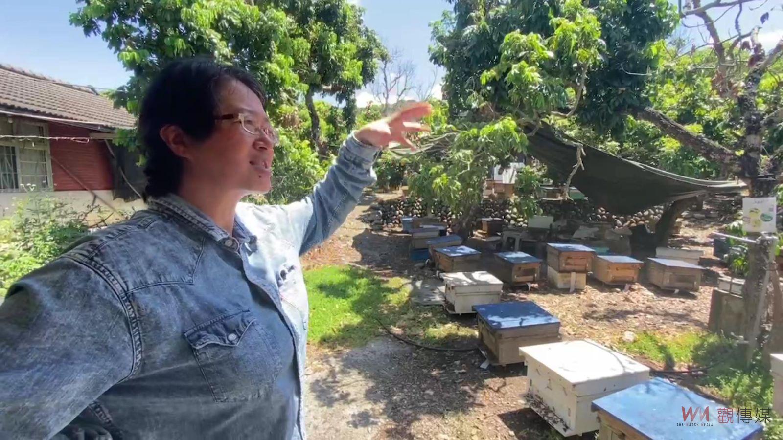 （有影片）／極端天氣打擊蜂蜜產業　蜂蜜產量創歷史新低　蜂蜜價格飆升 - https://www.watchmedia01.com