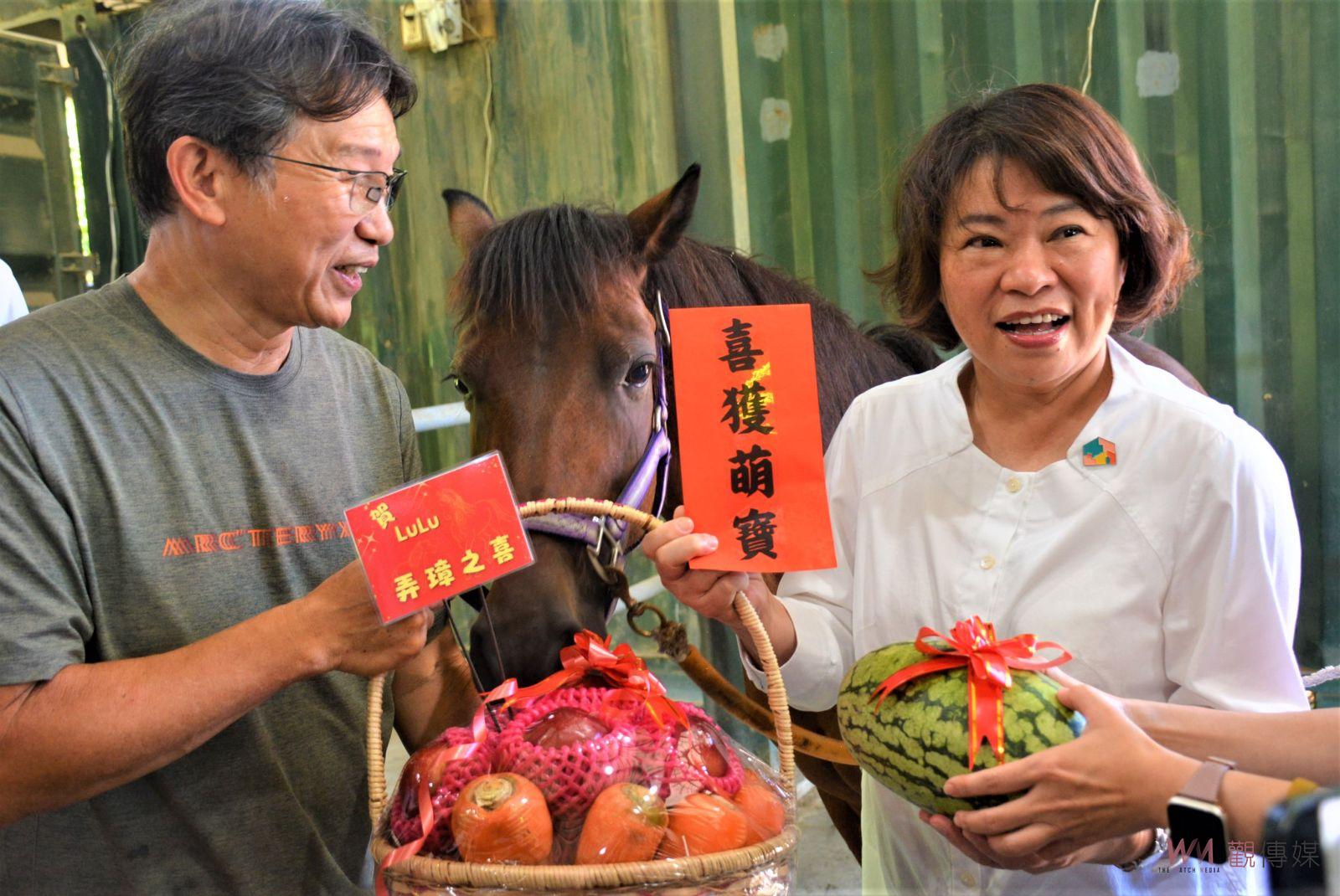 榮譽市馬Lulu喜添丁　嘉義市長親送月子禮祝福 - https://www.watchmedia01.com