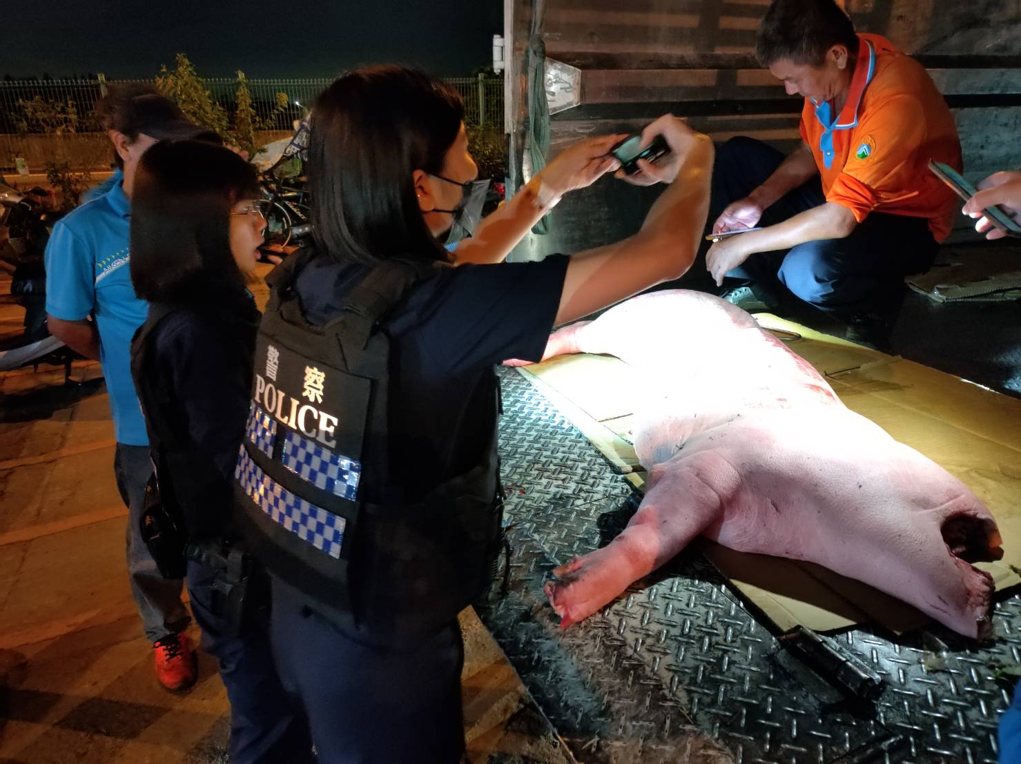 （有影片）／路上突見無頭豬肉塊　警方與員林清潔隊上演破「無頭公案」 - https://www.watchmedia01.com