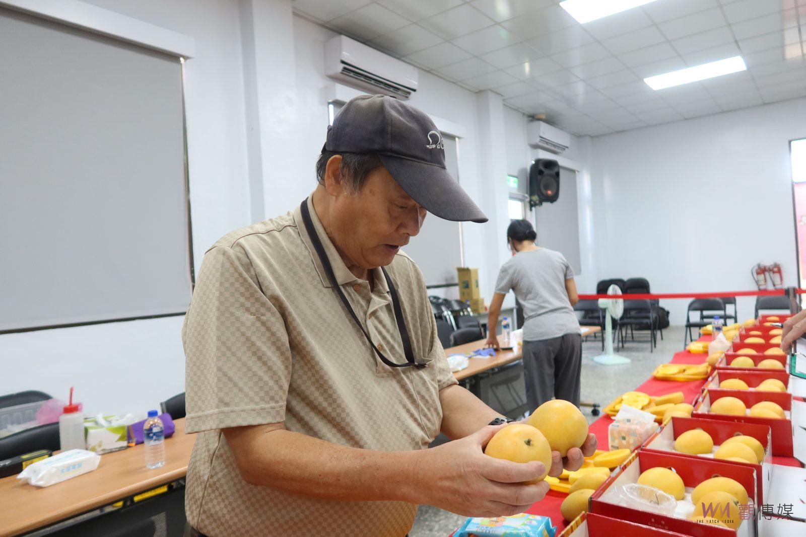 （有影片）／黃金時刻　埔心鄉金蜜芒果評鑑揭曉　蔡鳴忠勇奪冠軍 - https://www.watchmedia01.com