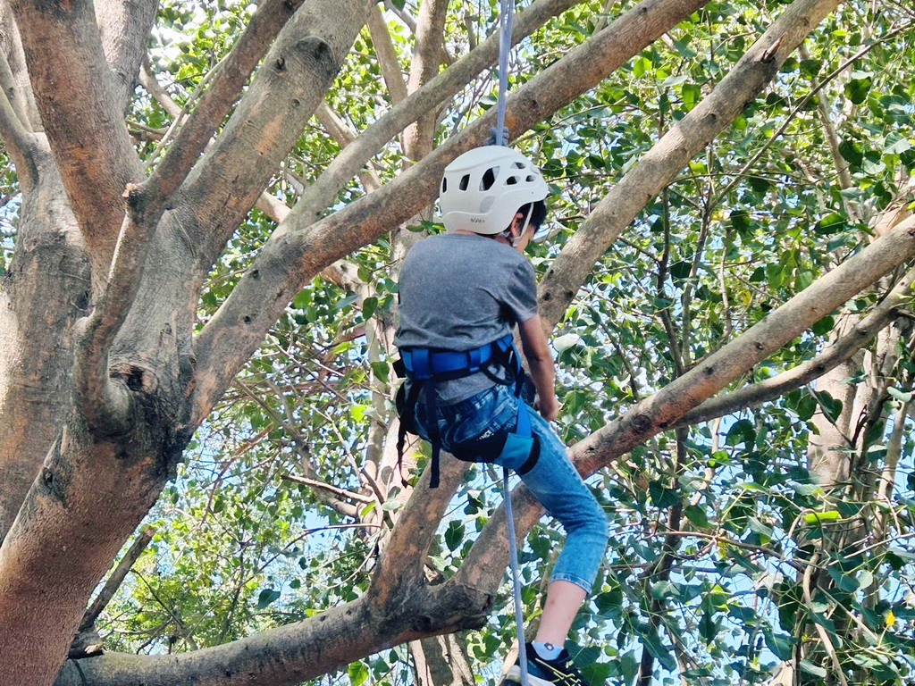 埔心鄉梧鳳社區設立攀樹基地 張佩瑩鄉長親身體驗歡迎大小朋友體認環保永續的重要 - https://www.watchmedia01.com