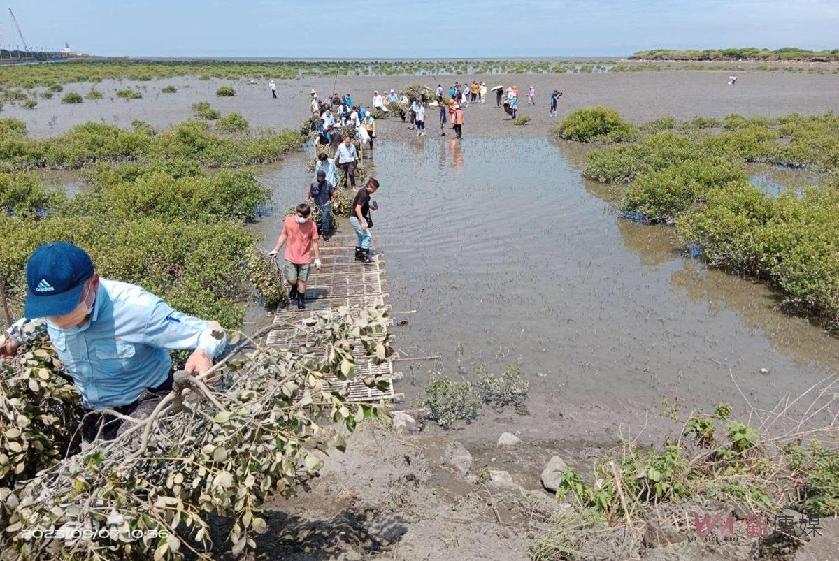 首度參加2024台灣生物多樣性獎　雲林縣榮獲銅級肯定 - https://www.watchmedia01.com