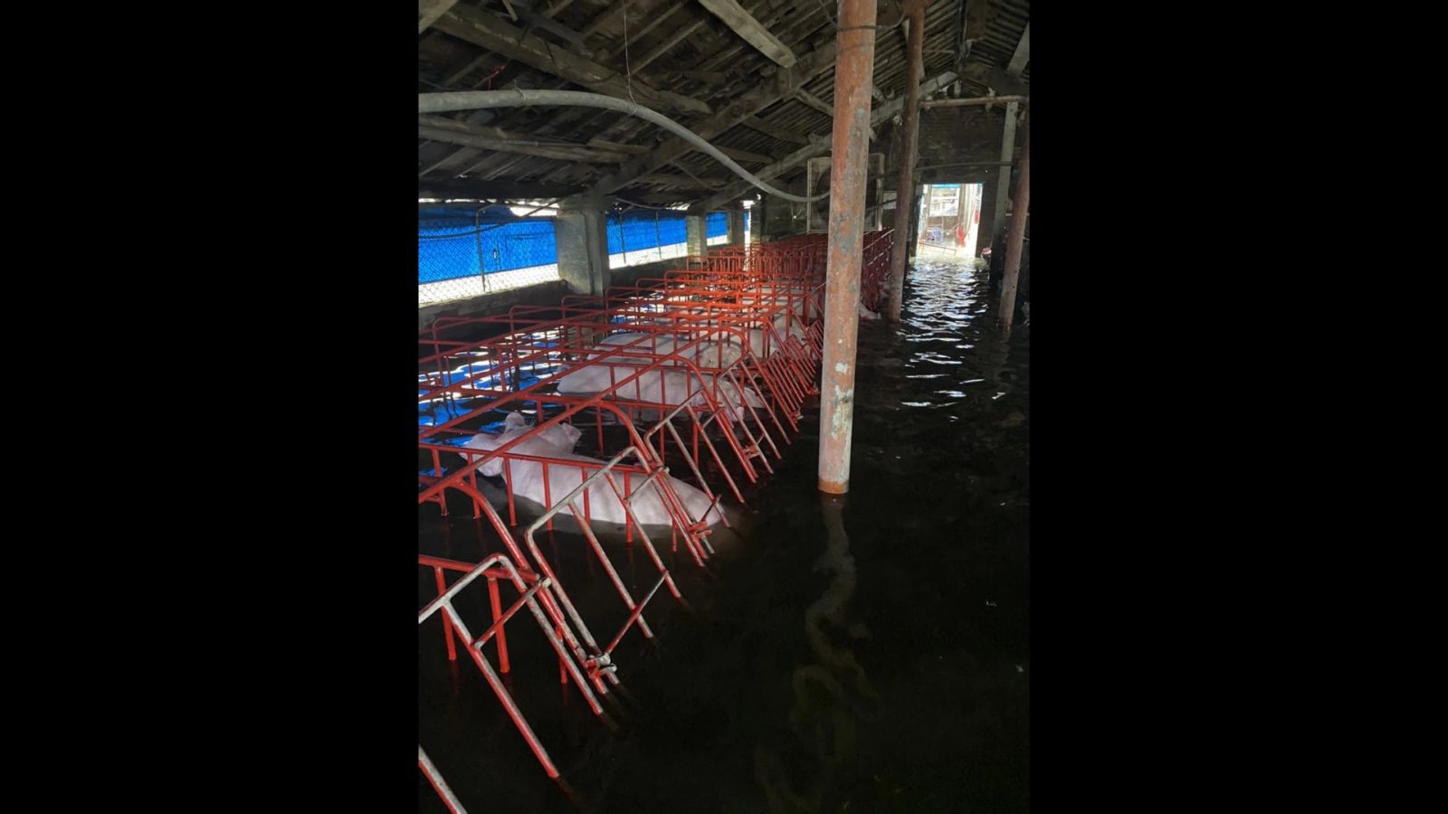凱米颱風導致彰化13鄉鎮市淹水　　畜牧業納全品項現金救助 - https://www.watchmedia01.com