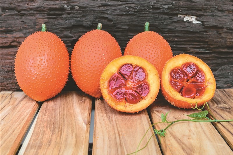 來自天堂的水果！品牌推「木鱉果＋葉黃素＋蝦紅素」搶攻市場 - https://www.watchmedia01.com