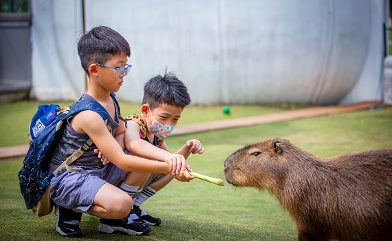 九九峰動物樂園歡慶2週年7-8日票價最低99元！９月成人票僅399元 - https://www.watchmedia01.com
