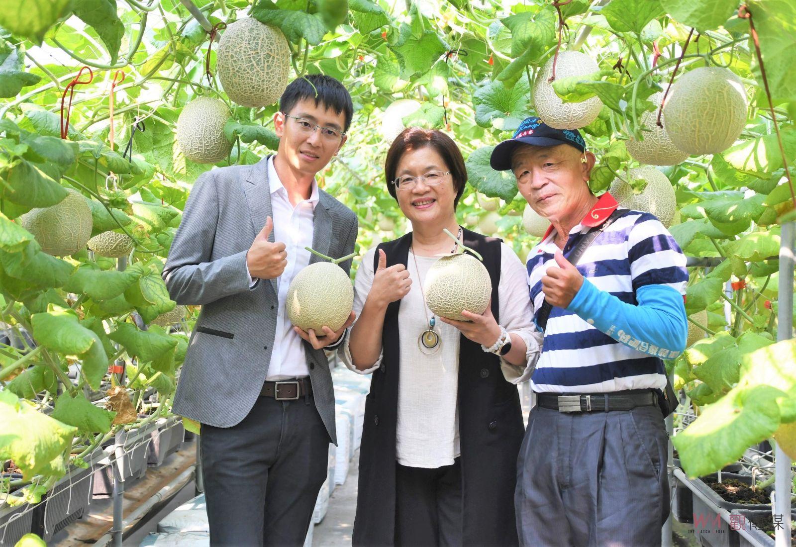 （有影片）／化學工程師轉型青農　陳照委以智慧農業栽培洋香瓜創高價 - https://www.watchmedia01.com