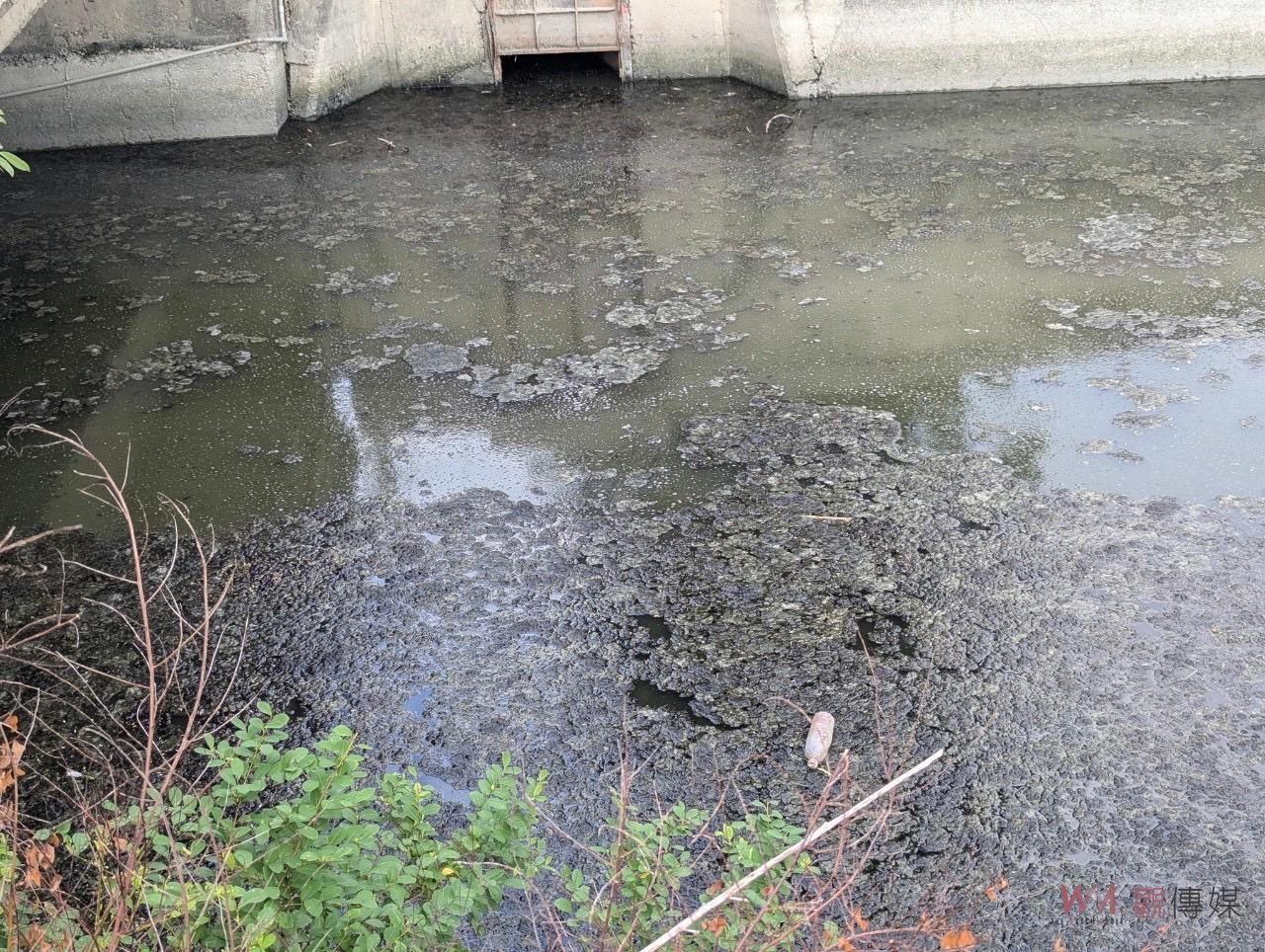 立委劉建國偕同相關單位會勘水林鄉大溝大排 全力改善排水系統 - https://www.watchmedia01.com