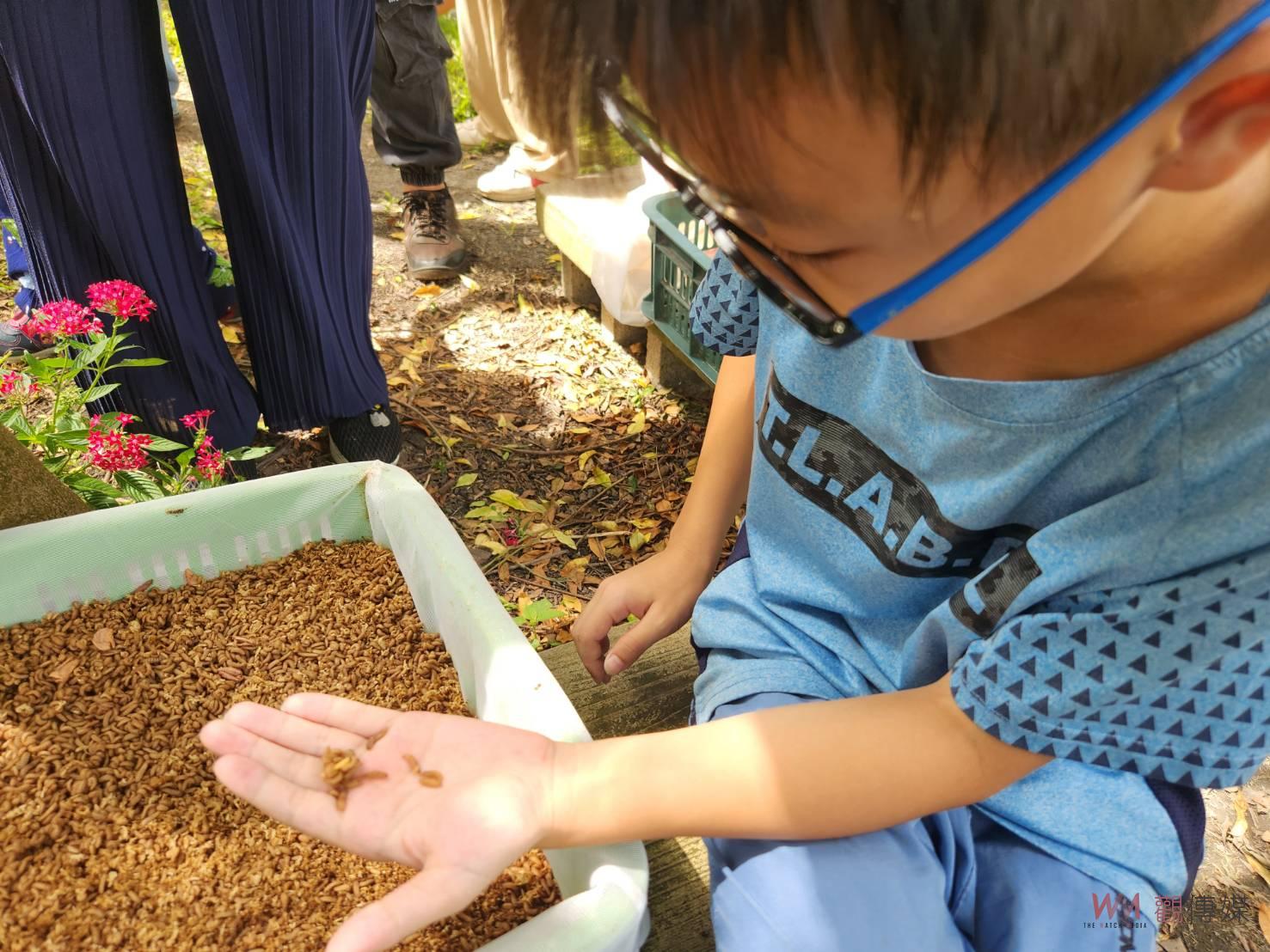 （有影片）／跟著校長學昆蟲　學員製作蜂蠟防蚊膏　體驗有機農場生態 - https://www.watchmedia01.com