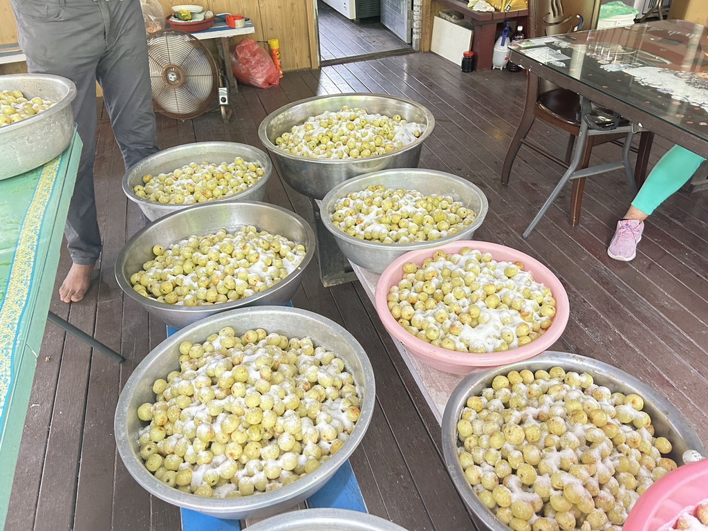 從阿嬤的古早味蜜餞到新時代抗氧化果粉 花樹銀行總裁郭俊銀讓油柑變成保健食品 - https://www.watchmedia01.com