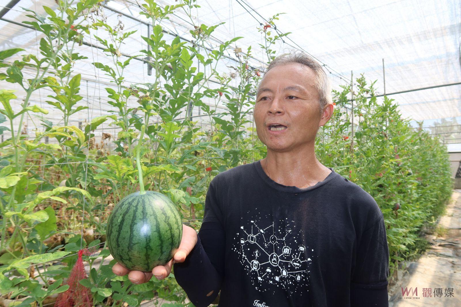 （有影片）／從工程師到西瓜達人　楊志宏試種黑皮炸彈　甜美口感俘獲味蕾 - https://www.watchmedia01.com