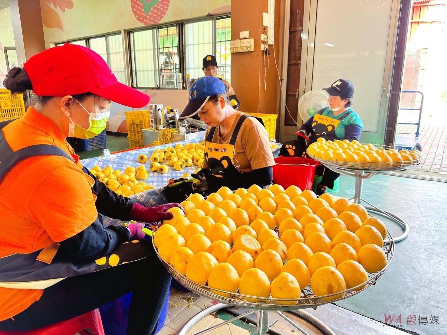 享用天然甜味與香氣　番路柿餅加工坊開柿大吉 - https://www.watchmedia01.com