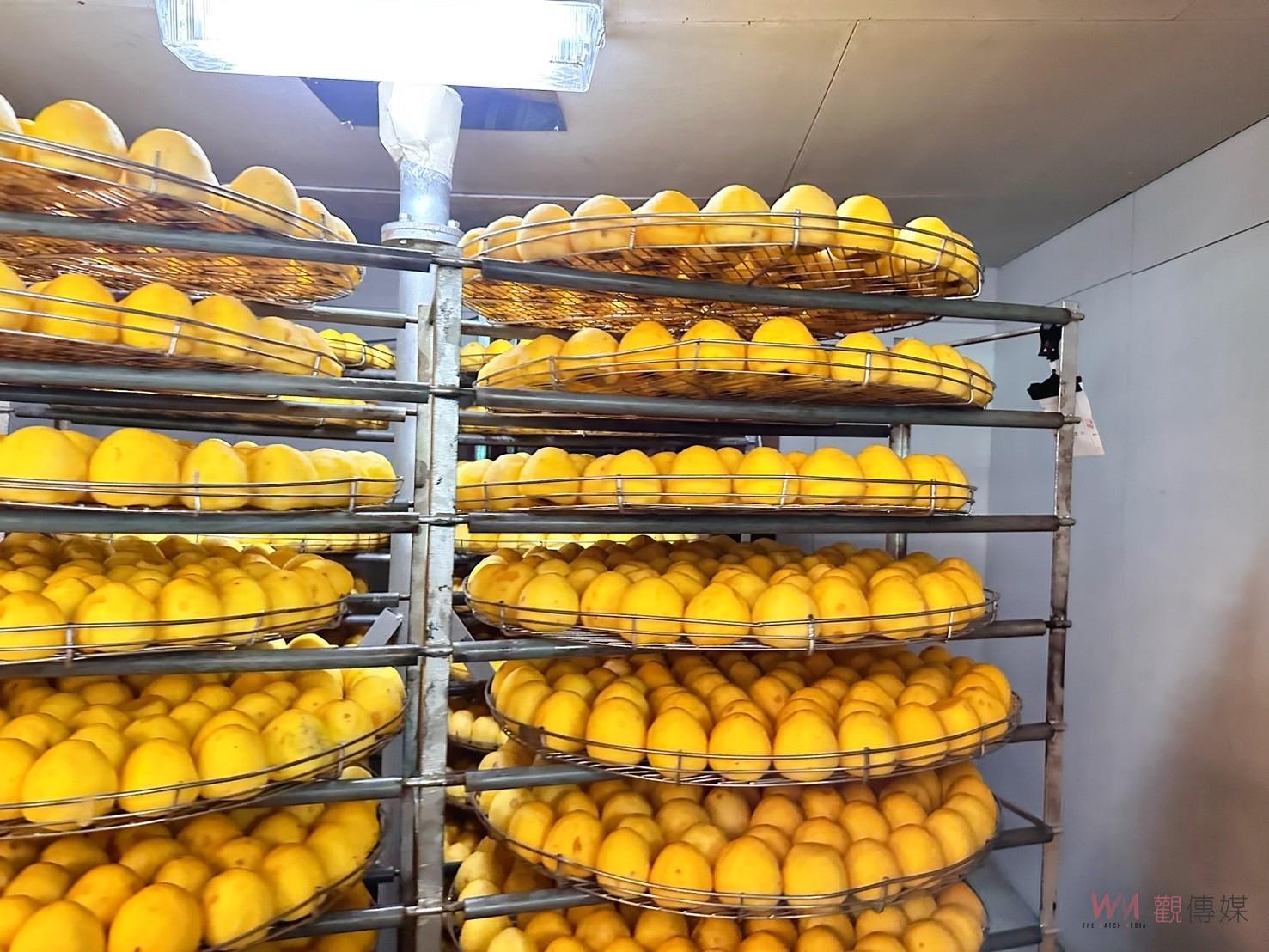 享用天然甜味與香氣　番路柿餅加工坊開柿大吉 - https://www.watchmedia01.com