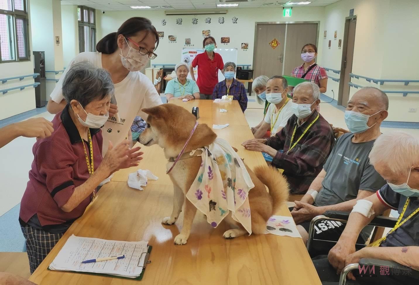 (有影片)/國際失智症月 彰化榮家為失智長者導入動物輔助治療 - https://www.watchmedia01.com