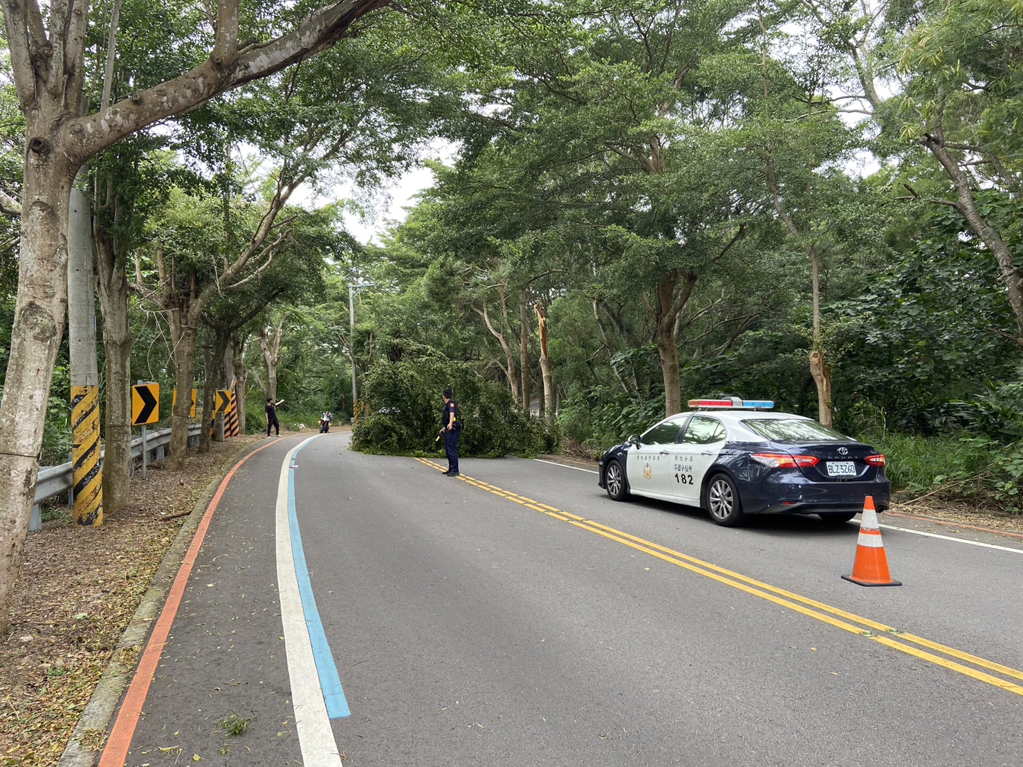 （有影片）／山陀兒颱風來襲　彰化縣路樹倒塌9911戶停電 - https://www.watchmedia01.com