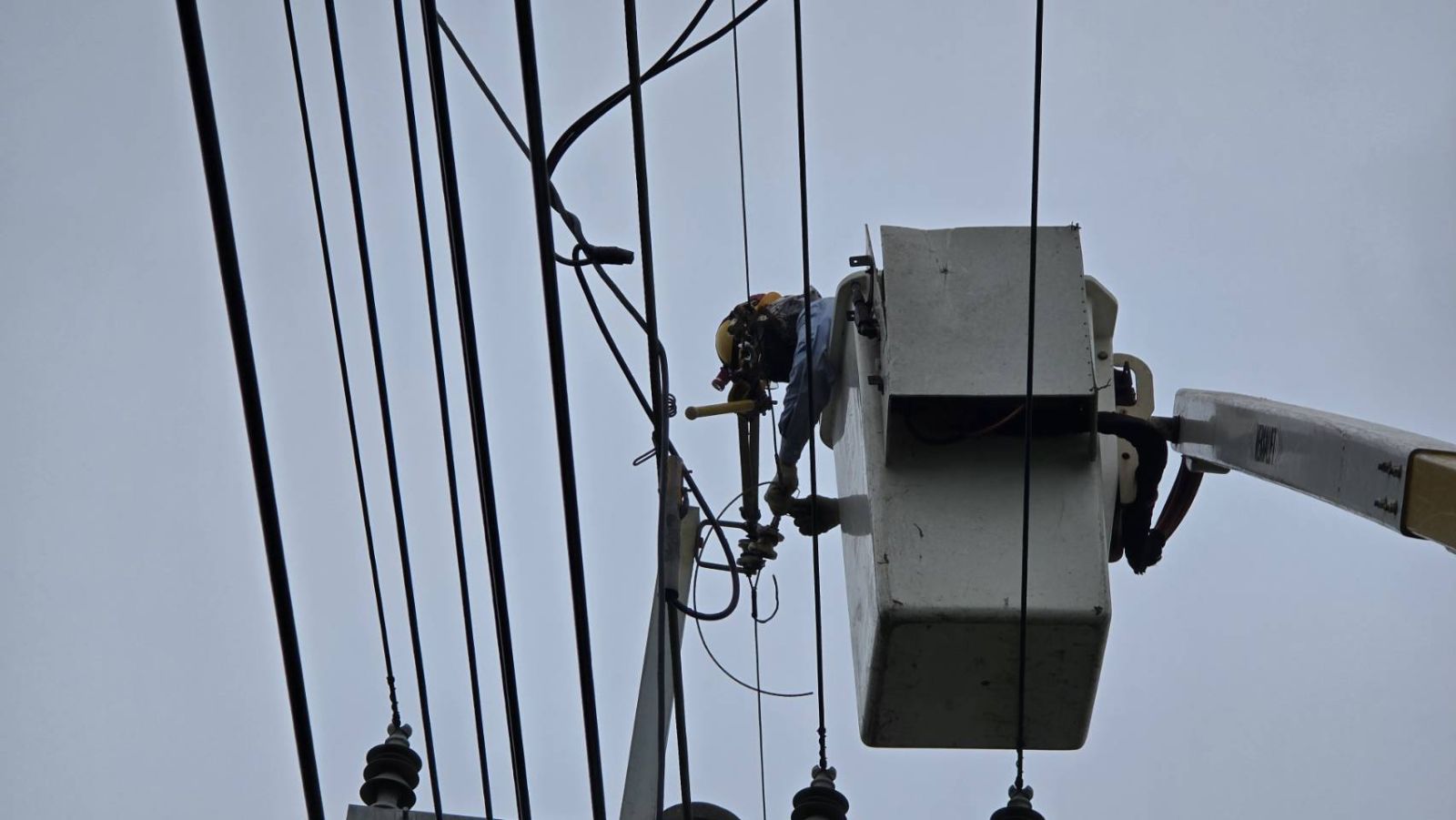 （有影片）／山陀兒颱風來襲　彰化縣路樹倒塌9911戶停電 - https://www.watchmedia01.com