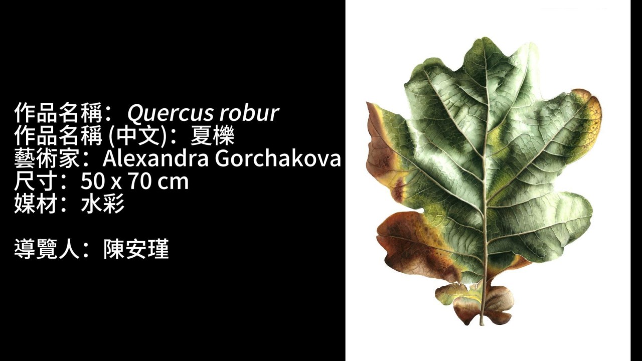 台灣植物學藝術協會進駐裕翔織光 心居住空間講求自然與藝術的融合 - https://www.watchmedia01.com