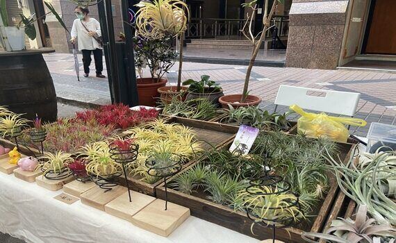 爵士饗宴飄揚歐式商圈　台中精明一街商圈推「爵對植感系列活動」 - https://www.watchmedia01.com