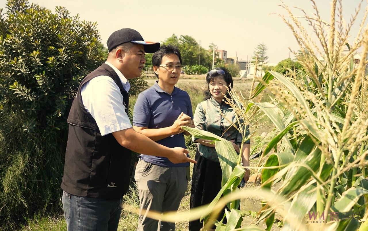（有影片）／生物防治與碳匯技術齊頭並進　褒忠鄉農業示範專區帶動農業創新 - https://www.watchmedia01.com