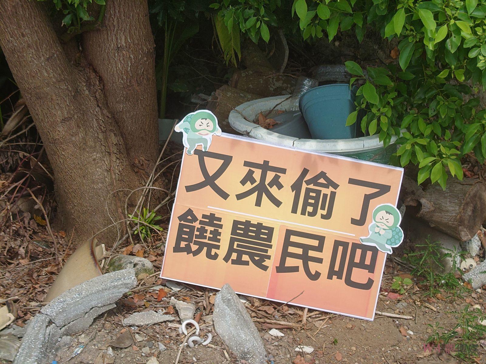 （有影片）／颱風後菜價飆漲　溪州鄉農作物頻遭竊　農民怒斥小偷囂張 - https://www.watchmedia01.com