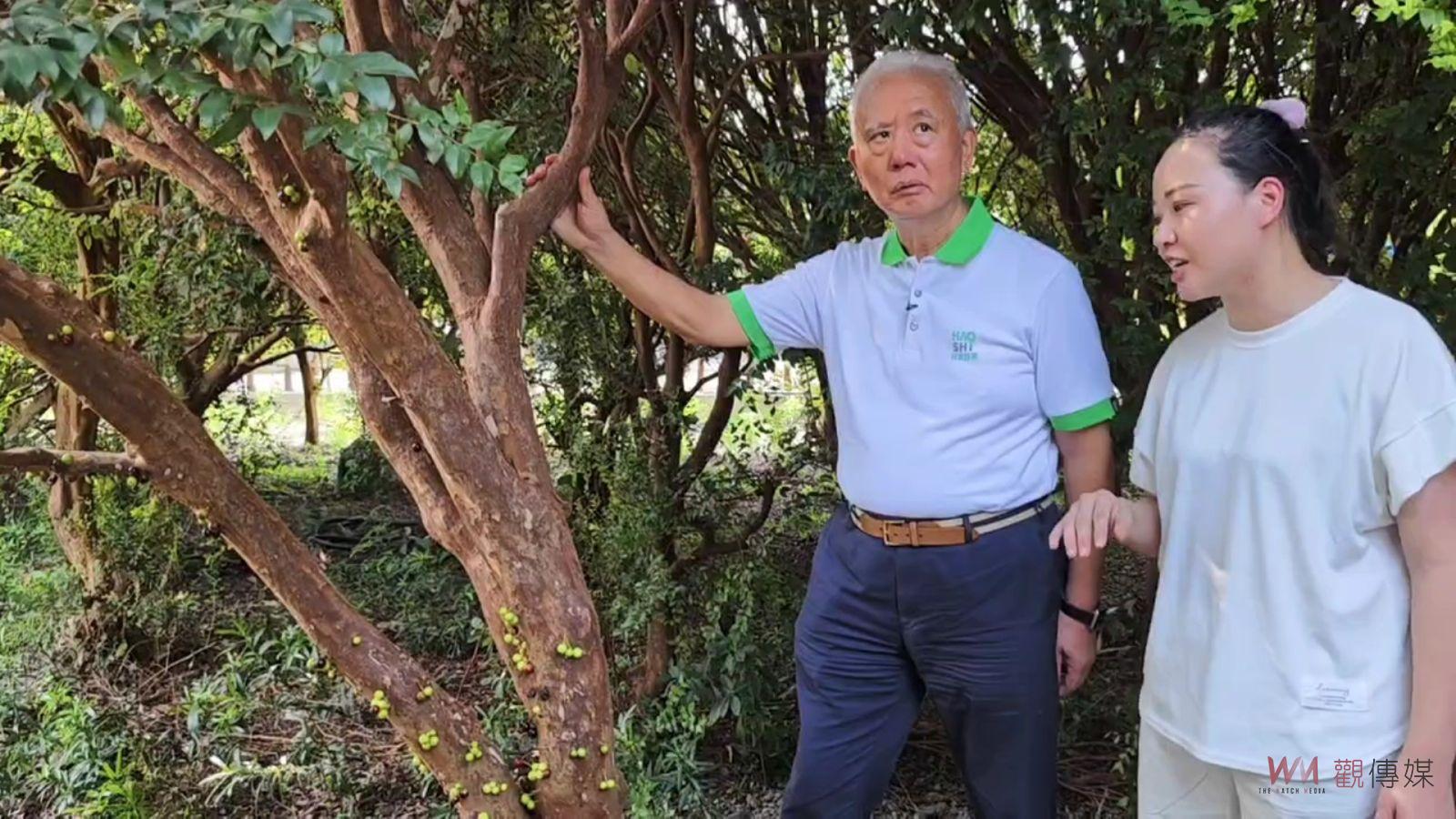 （有影片）／青農返鄉創業　好食好事基金會助力彰化形成食農產業生態圈 - https://www.watchmedia01.com