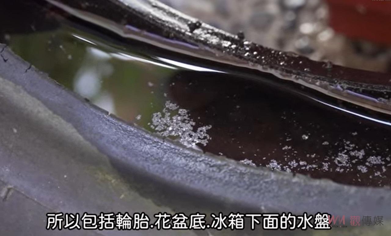 （有影片）／雲林啟動冬季埃及斑蚊消除計畫　中央與地方聯手防範登革熱疫情 - https://www.watchmedia01.com